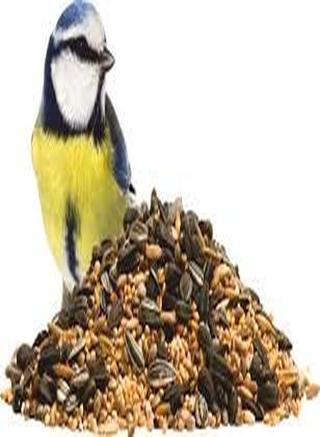 Siddhi Bird Feeder Mixed Seed Bird Food (5 KG) - Image 4