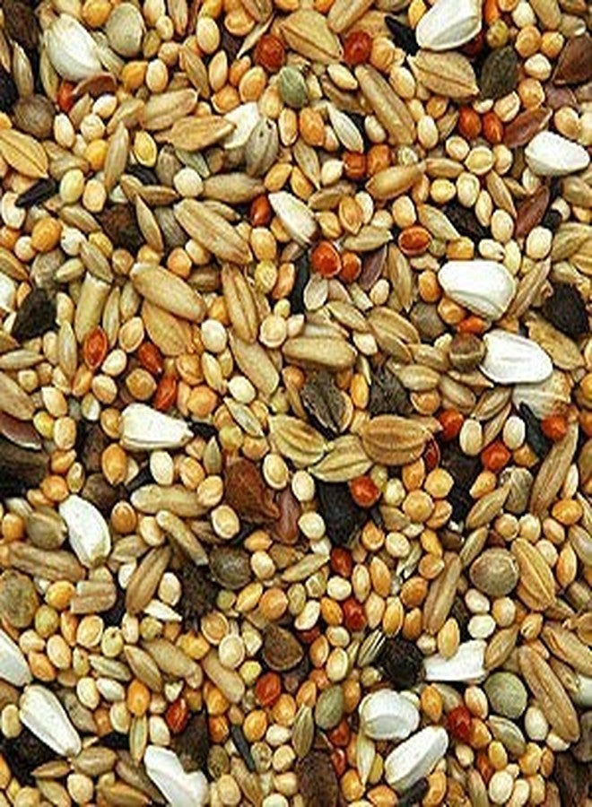 Siddhi Bird Feeder Mixed Seed Bird Food (5 KG) - Image 5