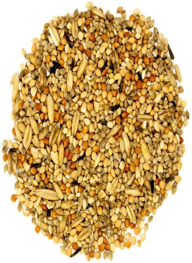 Siddhi Bird Feeder Mixed Seed Bird Food (5 KG) - Image 2