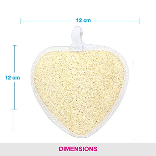 Vega Loofah Pad Body Sponge & Scrubber for Women & Men | Soft Mesh Bath Sponge for Dead Skin Removal | Gentle Body Exfoliator for Smooth & Healthy Skin, Small (NBA 3/6) - Image 2