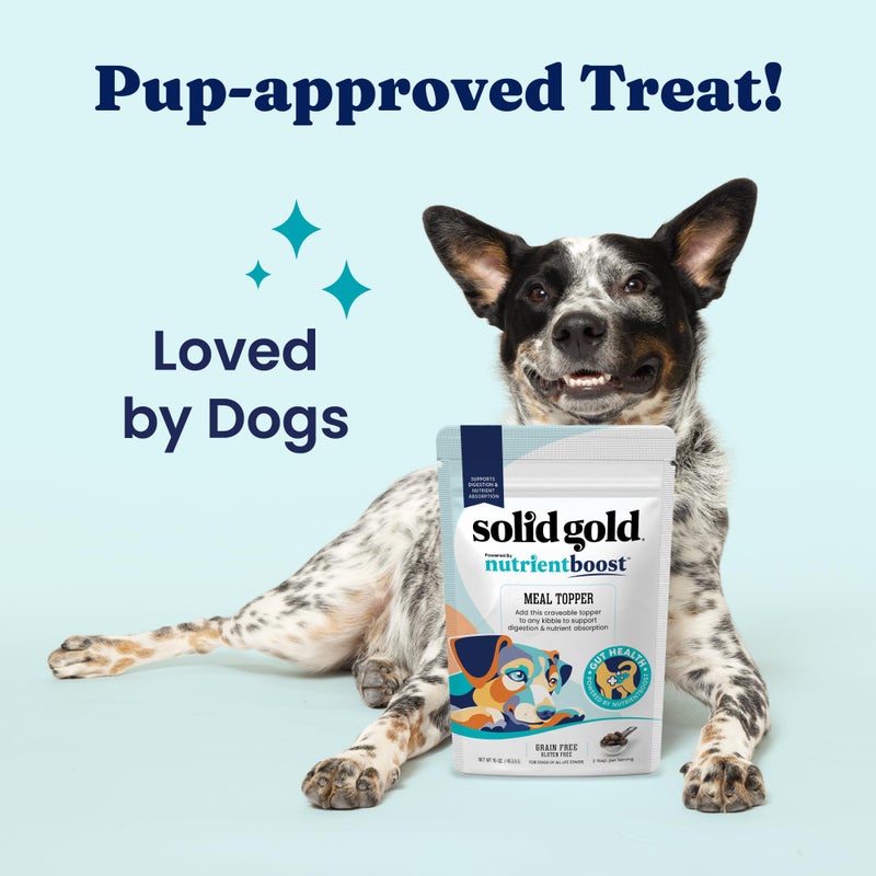 Solid Gold NutrientBoost Meal Toppers for Dogs - High Protein Dog Food Toppers for Dry Food - Grain Free Flavor Enhancer with Vitamins, Minerals & Amino Acids for Gut Health & Immune Support - 1lb - Image 5