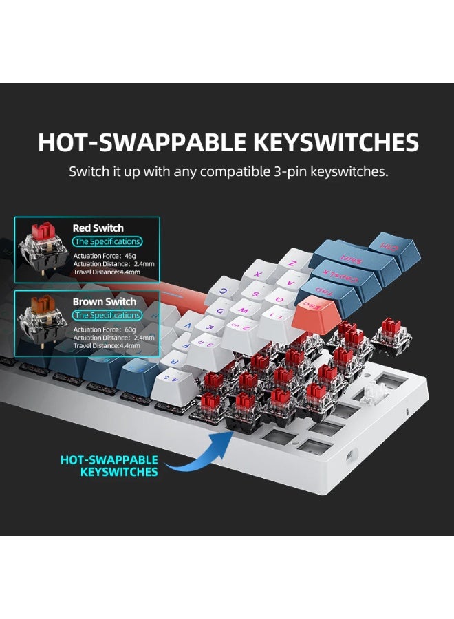 Machenike K500 B61 Wired Mechanical Keyboard 61 Keys Hot-Swappable Transparent PC Keycaps RGB Backlit (Red Switch) - Image 4