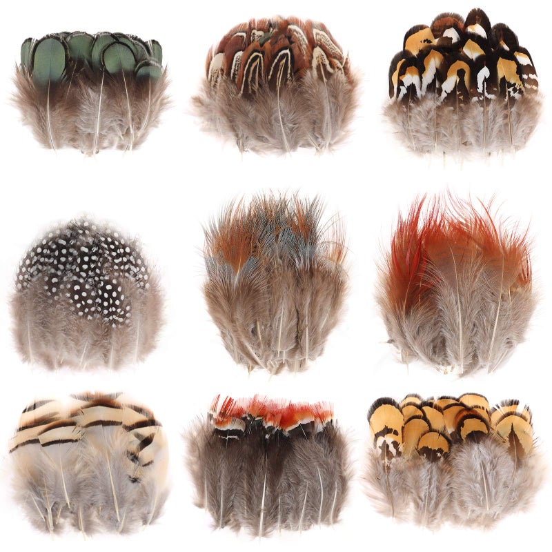 MWOOT 9 Styles Assorted Craft Feathers 180Pcs Natural Chicken Feathers for DIY Earring Wings Dream Catcher Crafts Activities Project Wedding Party Home Decoration