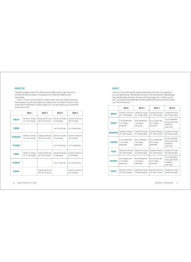 The Back Pain Relief Plan: A 20-Minute Exercise-Based Program to Prevent, Manage, and Ease Pain