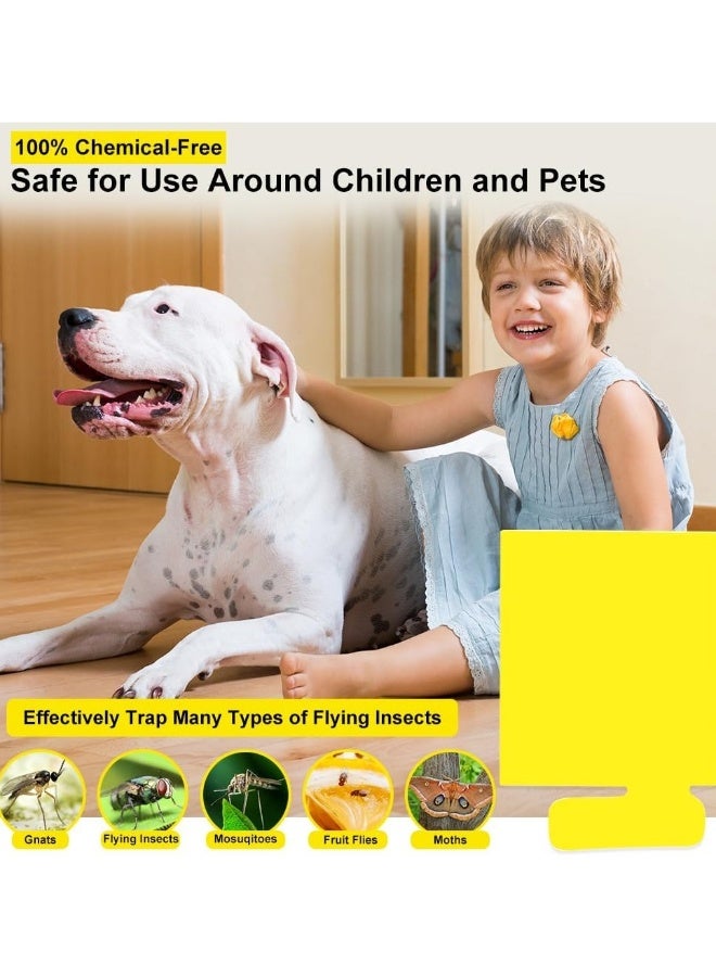 Generic 24 Pack Non-Toxic Indoor Flying Insect Trap Refill Kit with Sticky Glue Cards for Flies Gnats and Moths  - Image 3