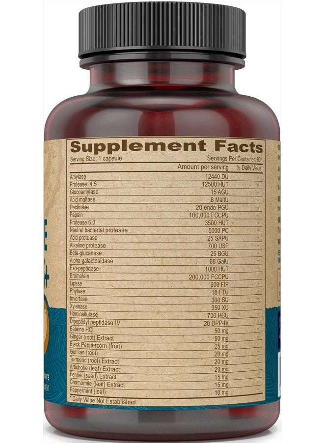 Digestive Enzymes Plus Supplement - A Unique Blend of Enzymes & Herbs - 90 Capsules, 1-Pack