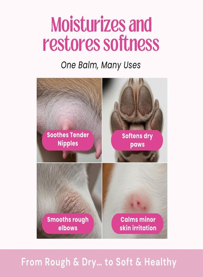 بلسم بريجنابوز لتهدئة حلمات الكلاب والقطط المرضعة - آمن على اللعق، خالٍ من اللانولين، زبدة حلمات طبيعية بالكامل - يلطف البشرة المتشققة والجافة - زيت جوز الهند، زبدة الشيا، فيتامين هـ، 2.11 أونصة - Image 5