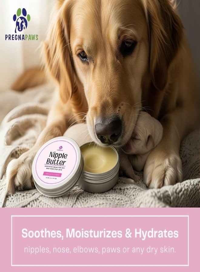 بلسم بريجنابوز لتهدئة حلمات الكلاب والقطط المرضعة - آمن على اللعق، خالٍ من اللانولين، زبدة حلمات طبيعية بالكامل - يلطف البشرة المتشققة والجافة - زيت جوز الهند، زبدة الشيا، فيتامين هـ، 2.11 أونصة - Image 4