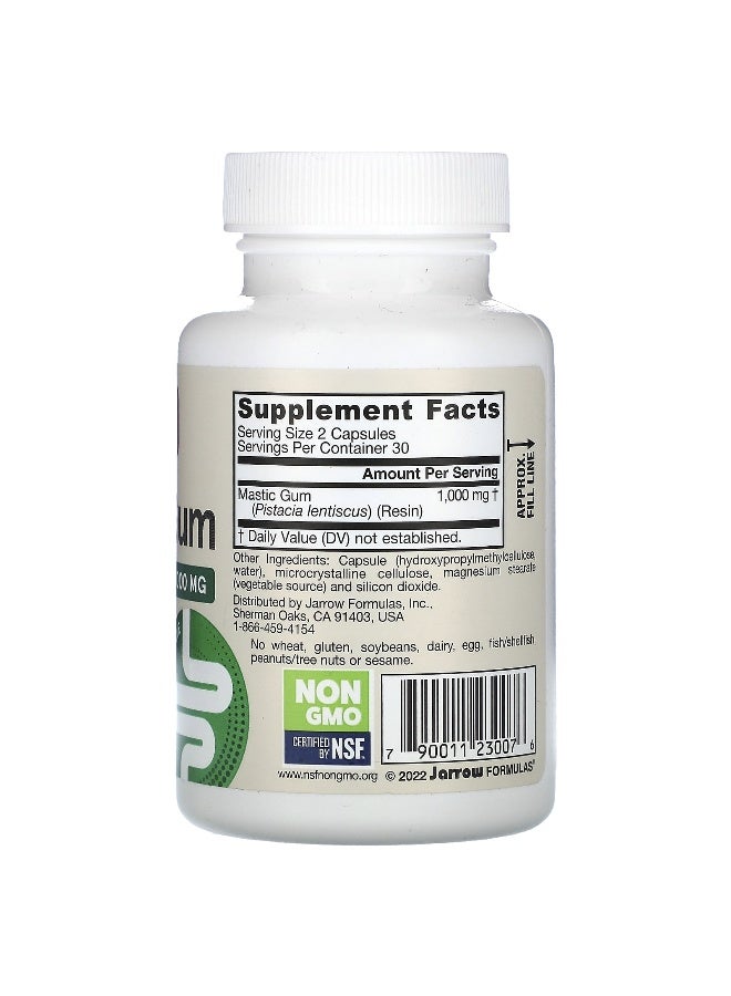 Jarrow Formulas, Mastic Gum, 1,000 mg, 60 Veggie Capsules (500 mg per Capsule) (Packaging may vary) - Image 2