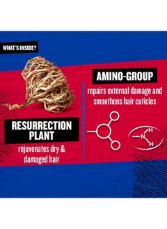BED HEAD Bed Head TIGI - Urban Antidotes Resurrection Shampoo - Ideal for Damaged Hair - 600 ml  - Image 3