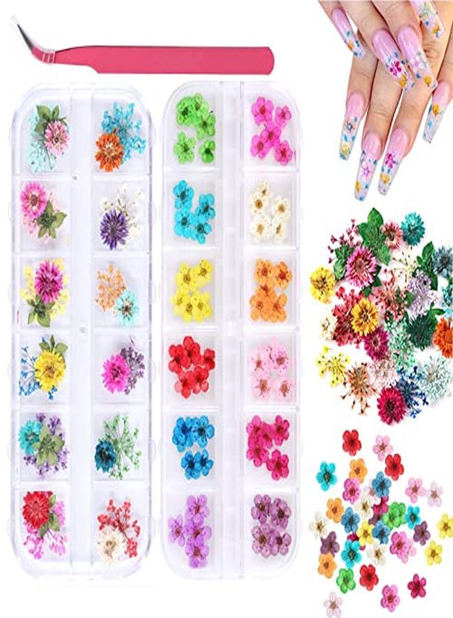 Kissbuty 2 Boxes Dried Flowers For Nail Art, 24 Colors Dry Flowers Mini Real Natural Flowers Nail Art Supplies 3D Applique Nail Decoration Sticker For Tips Manicure Decor (Gypsophila Flowers Daffodil)  - Image 1