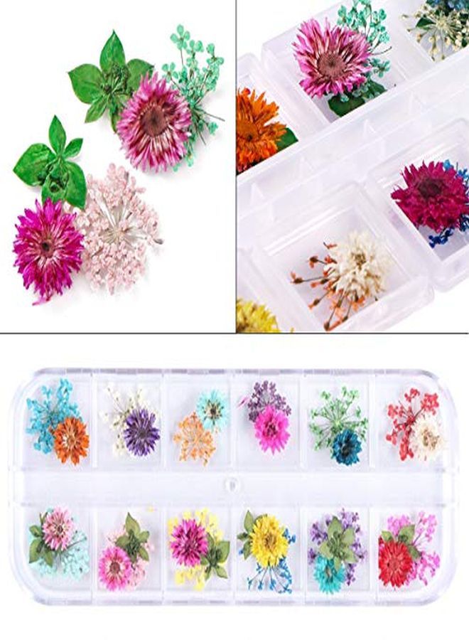 Kissbuty 2 Boxes Dried Flowers For Nail Art, 24 Colors Dry Flowers Mini Real Natural Flowers Nail Art Supplies 3D Applique Nail Decoration Sticker For Tips Manicure Decor (Gypsophila Flowers Daffodil)  - Image 5