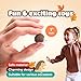 Entervending Hedgehog Toy Figurines Wild Life Animal Figures 25 Pcs Figurines Party Favors for Kids Cake Toppers Woodland Decoration Playset Cognitive Toys - Image 2