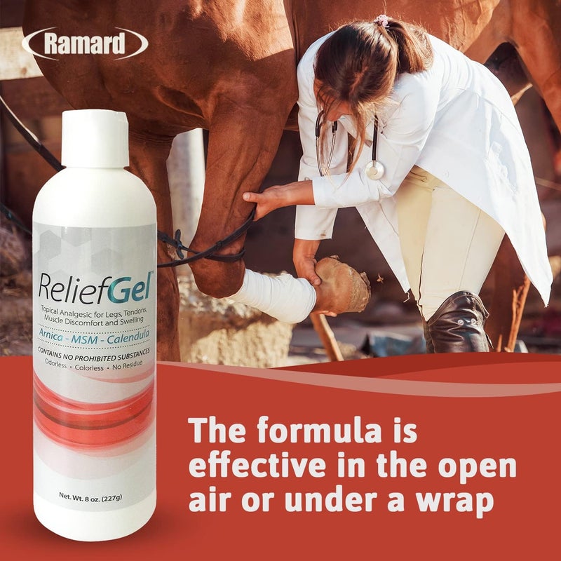 Ramard Relief Poultice for Horses -Veterinary Liniment Gel for Horse Muscle, Joint, Tendon & Ligament Care -Equine Poultice Leg Wraps, Gentle Liniment Gel Bentonite Clay, Arnica, Calendula, & MSM 8oz - Image 3