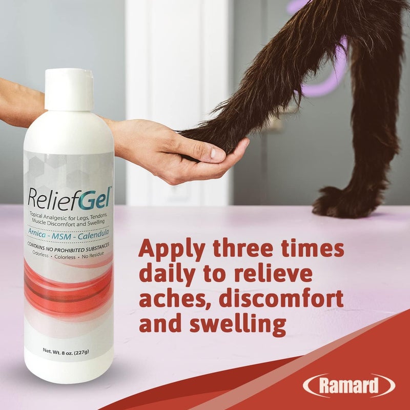 Ramard Relief Poultice for Horses -Veterinary Liniment Gel for Horse Muscle, Joint, Tendon & Ligament Care -Equine Poultice Leg Wraps, Gentle Liniment Gel Bentonite Clay, Arnica, Calendula, & MSM 8oz - Image 2