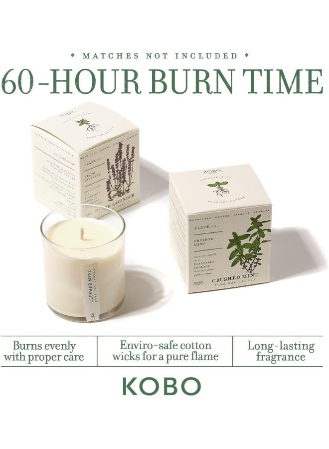 KOBO Red Poppy Scented Candle with Plantable Box 9 oz Plant The Box Collection 100 Pure Soy Wax Candles HandPoured in USA Long Lasting 60 Hour Burning Candles Scented Candles for Home - Image 2
