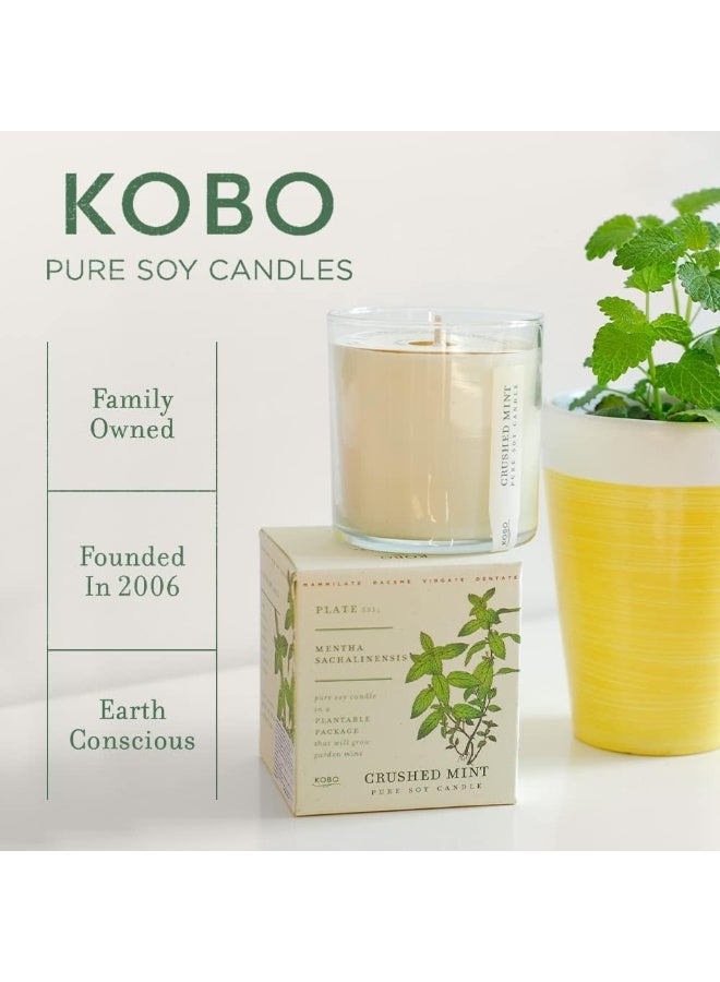 KOBO Red Poppy Scented Candle with Plantable Box 9 oz Plant The Box Collection 100 Pure Soy Wax Candles HandPoured in USA Long Lasting 60 Hour Burning Candles Scented Candles for Home - Image 5