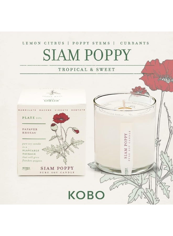 KOBO Red Poppy Scented Candle with Plantable Box 9 oz Plant The Box Collection 100 Pure Soy Wax Candles HandPoured in USA Long Lasting 60 Hour Burning Candles Scented Candles for Home - Image 4
