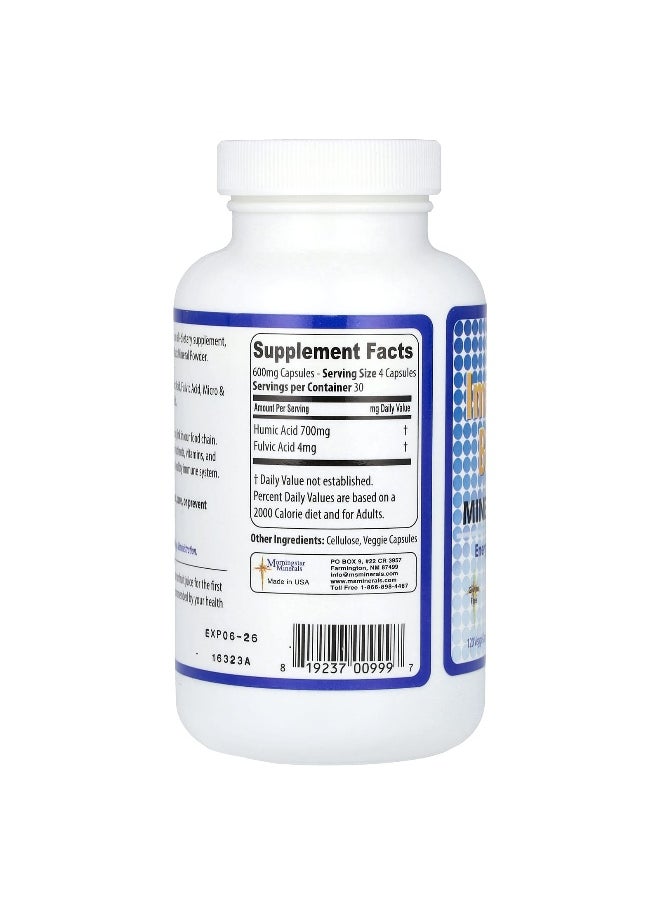 Morningstar Minerals Morningstar Minerals, Immune Boost 77, 120 Veggie Capsules  - Image 2
