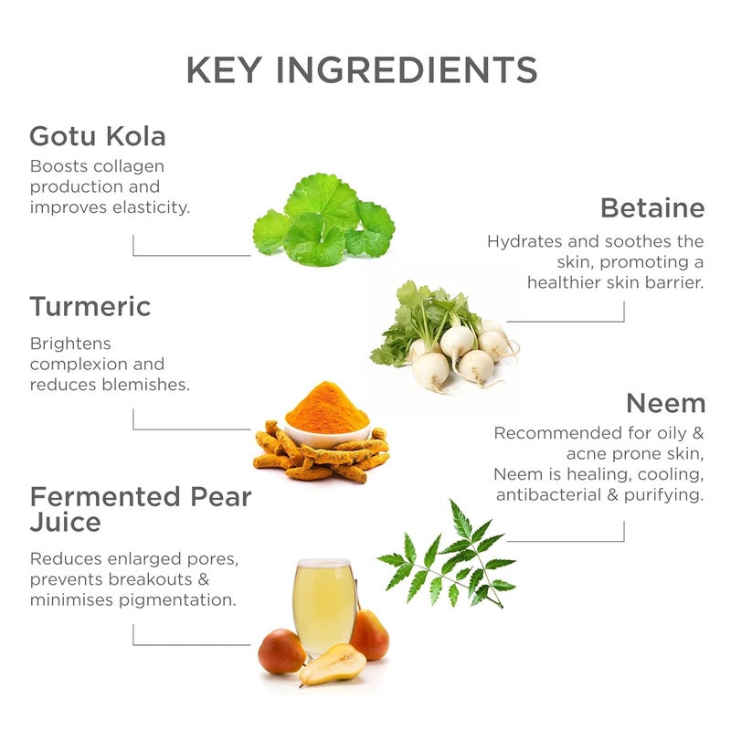 Forest Essentials Balancing Night Cream with Gotu Kola Neem AntiAcne Face Cream Moisturising Controls sebum production Improves skin elasticity - Image 3