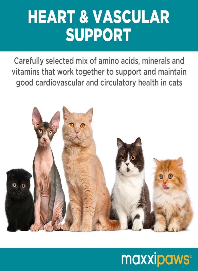 maxxipaws مكمل غذائي ماكسيبوز ماكسي كارديو للقلب والأوعية الدموية للقطط، 3.2 أونصة - Image 3