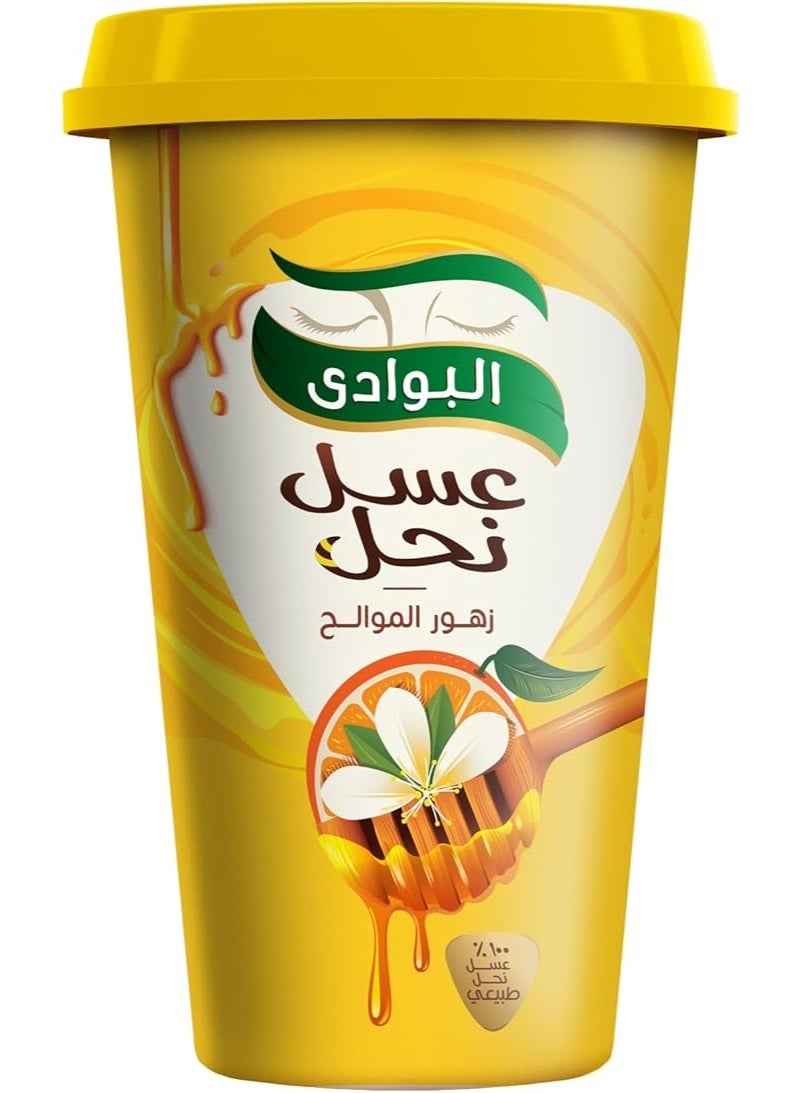 سعر ومواصفات البوادي عسل نحل زهور موالح 420 جرام (Z840D6CC4BDB7B7743AF8Z) على Noon EG