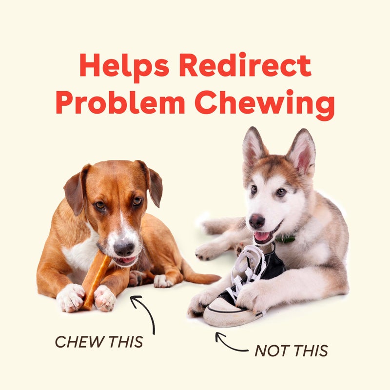 Pupford Yak Cheese Chews for Dogs & Teething Puppies, Natural, Long-Lasting Himalayan Dental Treats (3 Pack Small) - Image 2