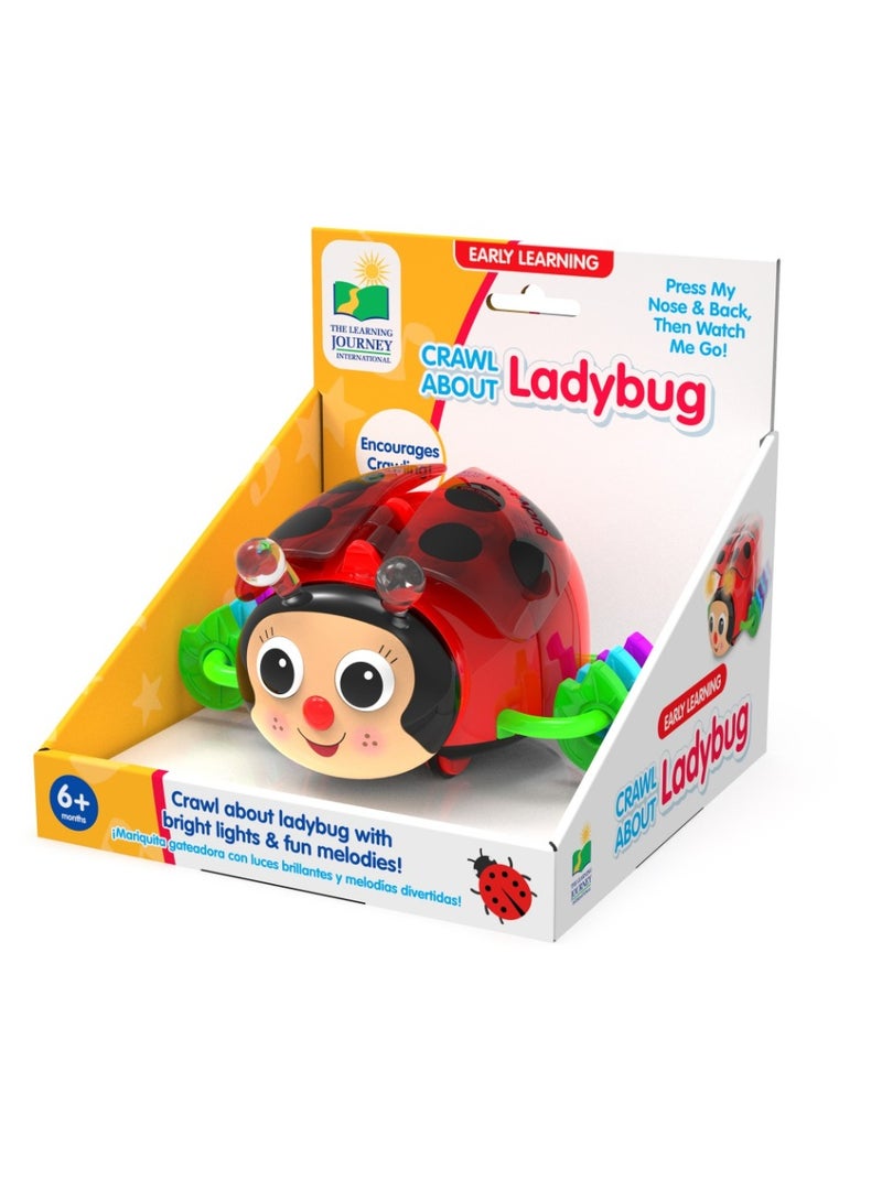 THE LEARNING JOURNEY - EARLY LEARNING! CRAWL ABOUT -LADYBUG - Image 1
