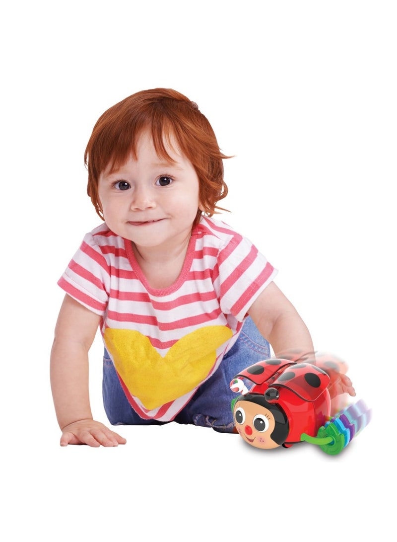 THE LEARNING JOURNEY - EARLY LEARNING! CRAWL ABOUT -LADYBUG - Image 2