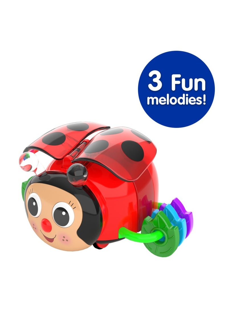 THE LEARNING JOURNEY - EARLY LEARNING! CRAWL ABOUT -LADYBUG - Image 4