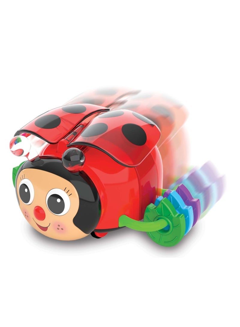 THE LEARNING JOURNEY - EARLY LEARNING! CRAWL ABOUT -LADYBUG - Image 3