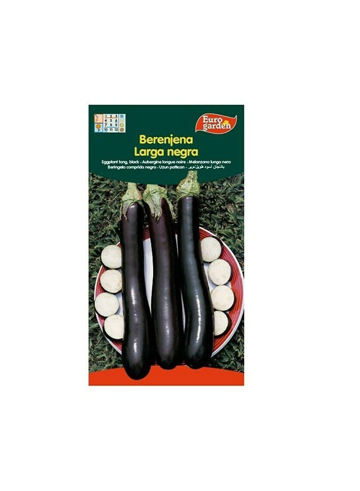 KNP Berenjena Larga Negra - Long Black Eggplant Seeds 