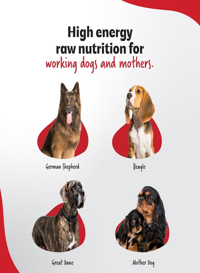 RIGHT4PAWS Energy+ Adult Dog Food| with 90.4% Animal Source & 9.6% Vegetables, Fruits, Herbs, botanicals & probiotics, 2kg - Image 2