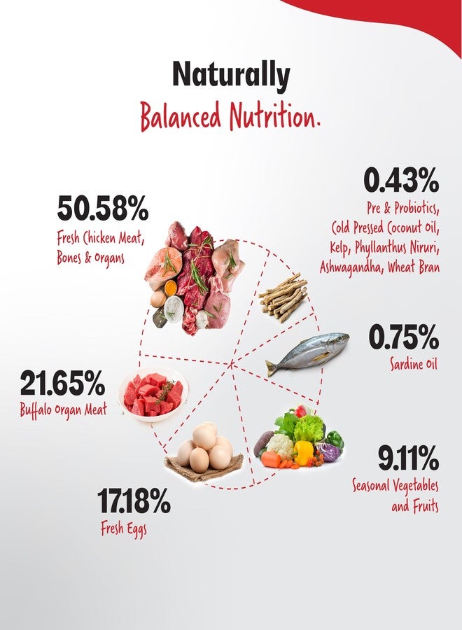 RIGHT4PAWS Energy+ Adult Dog Food| with 90.4% Animal Source & 9.6% Vegetables, Fruits, Herbs, botanicals & probiotics, 2kg - Image 3