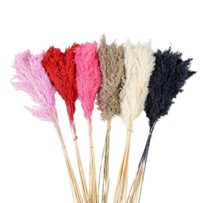 Bluejw Natural Dried Pampas Grass & Colorful Eucalyptus Bouquet - Large Bohemian Home Decor, Real Dried Plants Arrangement - Image 2