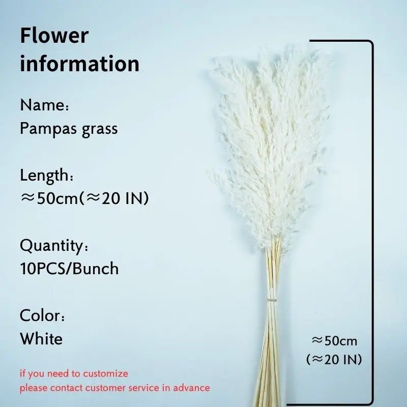 Bluejw Natural Dried Pampas Grass & Colorful Eucalyptus Bouquet - Large Bohemian Home Decor, Real Dried Plants Arrangement - Image 1