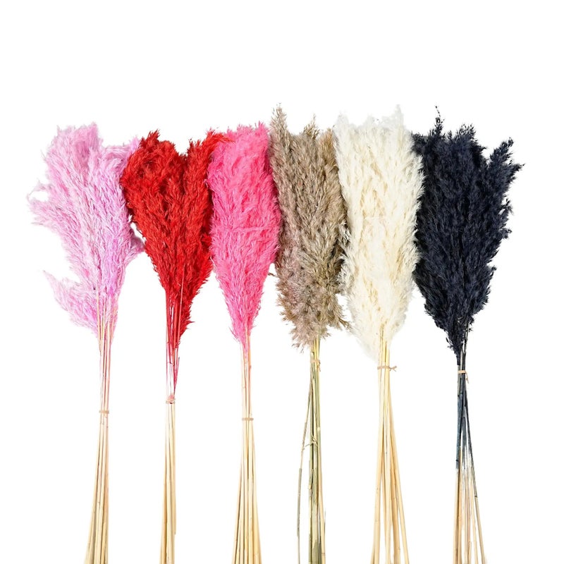 Bluejw Natural Dried Pampas Grass & Colorful Eucalyptus Bouquet - Large Bohemian Home Decor, Real Dried Plants Arrangement - Image 4