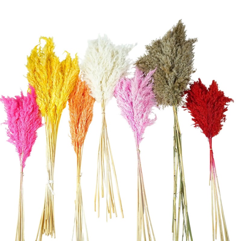 Bluejw Natural Dried Pampas Grass & Colorful Eucalyptus Bouquet - Large Bohemian Home Decor, Real Dried Plants Arrangement - Image 5