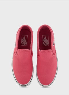 VANS Essential Asher Sneakers  - Image 4