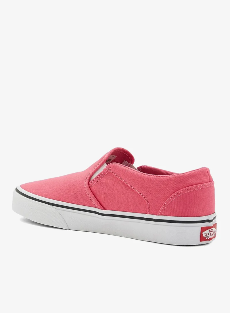 VANS Essential Asher Sneakers