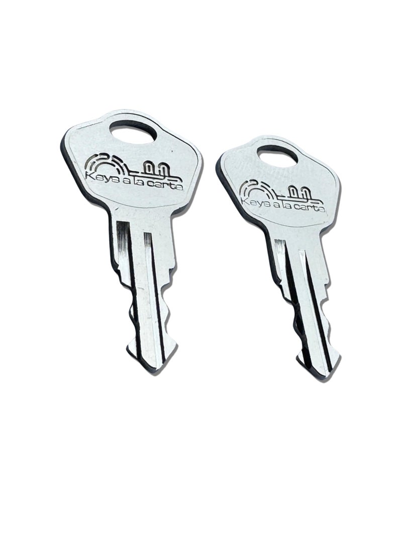 KEYSALACARTE Pair of Replacement Keys for Sentry Safe Lock Boxes, Fire Chests, Fire Files, & Fire/Water Files â€“ Cut to Code 3F2 - Image 1
