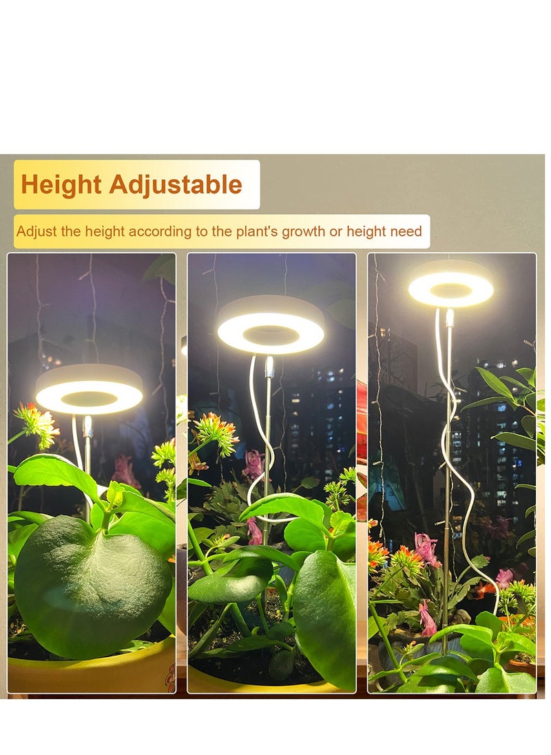 Generic Grow Lights for Indoor Plants,Full Spectrum LED Halo Plant Lights，Automatic Timer 2/4/8H, 4 Dimmable Brightness,5V Safe Voltage Growing Lamp， Height Adjustable Small ，Ideal for Small Plants  - Image 4