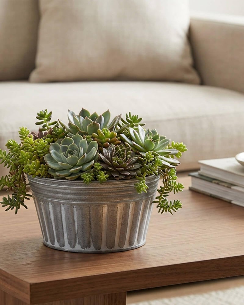 vensovo 8 Inches Silver Metal Rustic Plant Pots - 6Pcs Shallow Galvanized Planters with Drain Hole and Rubber Plug, Rustproof Tin Bucket Succulent Pot Indoor Farmhouse Vintage Style for Decor - Image 5