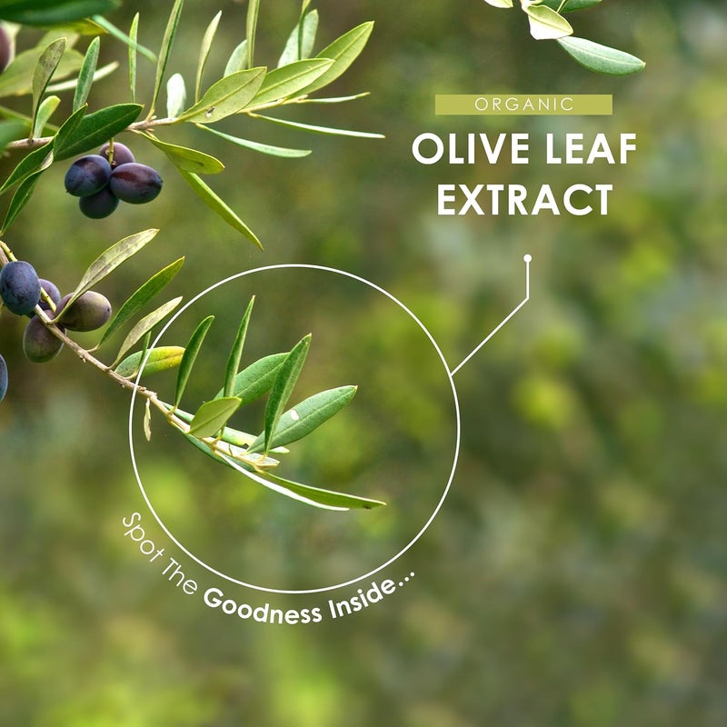 ALPHA01 Organic Olive Leaf Extract Capsules 7500mg 20 Oleuropein 120 Vegan Capsules Resealable and Recyclable Pouch by Alpha01 - Image 4