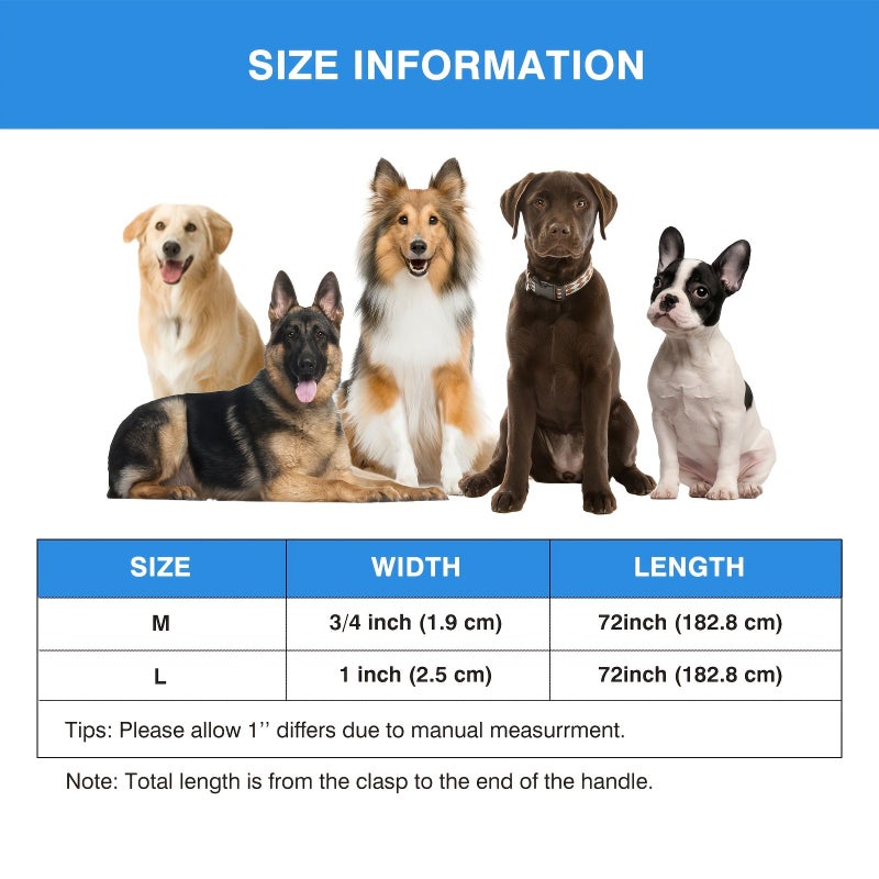 Purple Dual Handle Dog Leash for Walking Medium to Large Pets Comfortable Design - Image 2