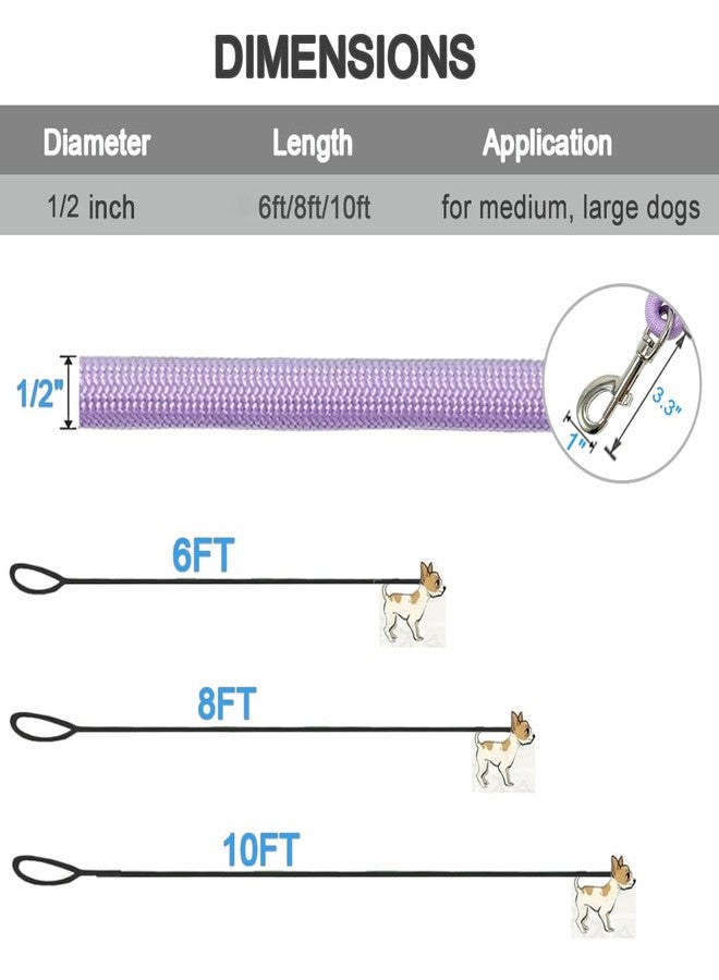 MayPaw 6/8 /10 FT Dog Leash, Classic Solid Colors, Strong Nylon Rope Dog Leash Reinforced with Leather Tailor Connection Heavy Duty Silver Clasp (Purple, 6ft*1/2") - Image 4