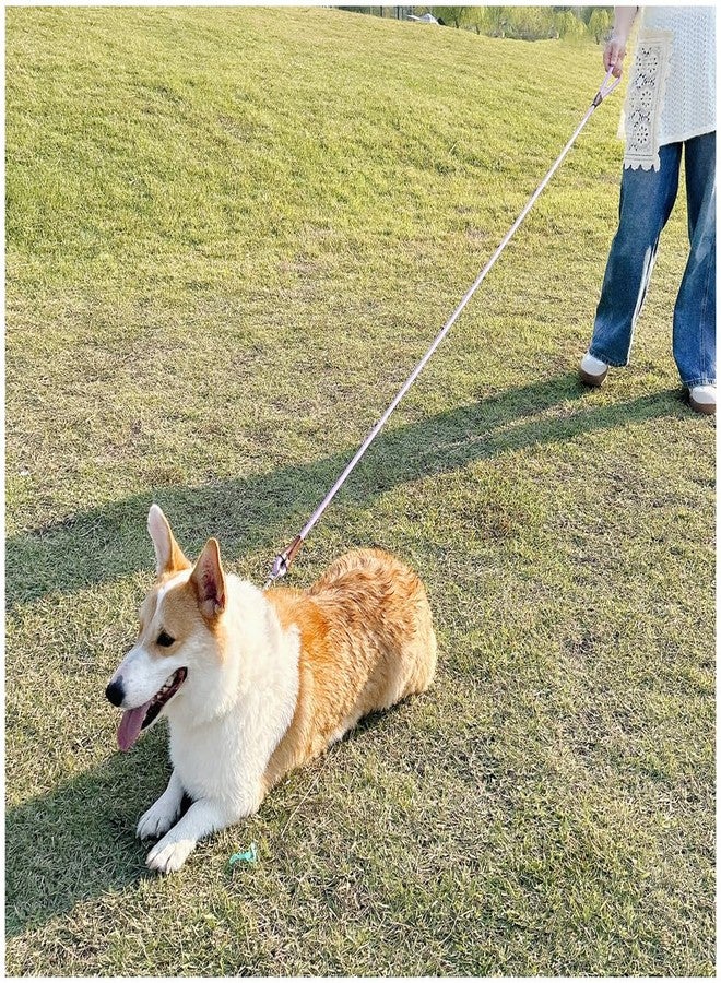 MayPaw 6/8 /10 FT Dog Leash, Classic Solid Colors, Strong Nylon Rope Dog Leash Reinforced with Leather Tailor Connection Heavy Duty Silver Clasp (Purple, 6ft*1/2") - Image 5