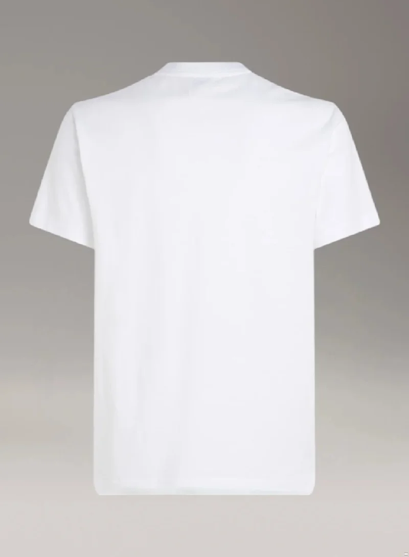 CALVIN KLEIN Flock Concrete Graphic T-Shirt