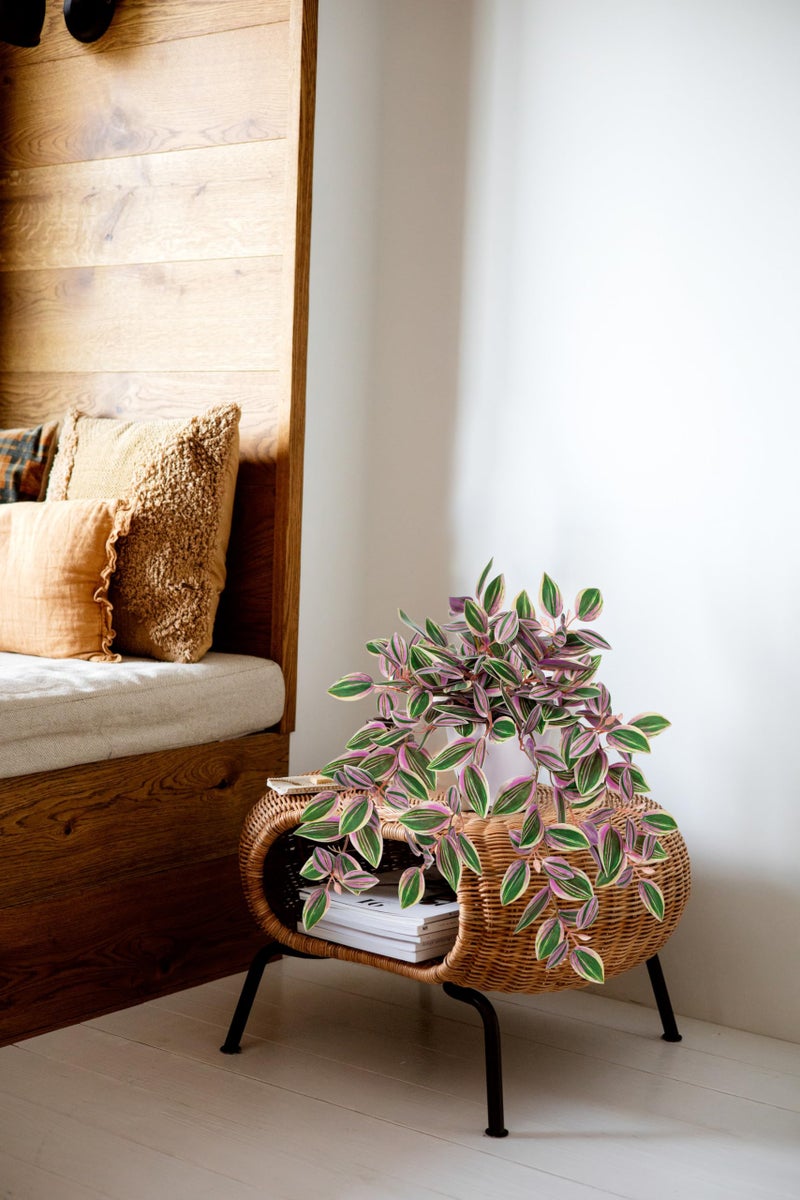 Briful Faux Plants Indoor Fake Potted House Plants Artificial Watermelon Peperomia Hanging Plant for Home Office Bedroom Aesthetic Shelf Kitchen Decoration(Pink - 1 Pack) - Image 5