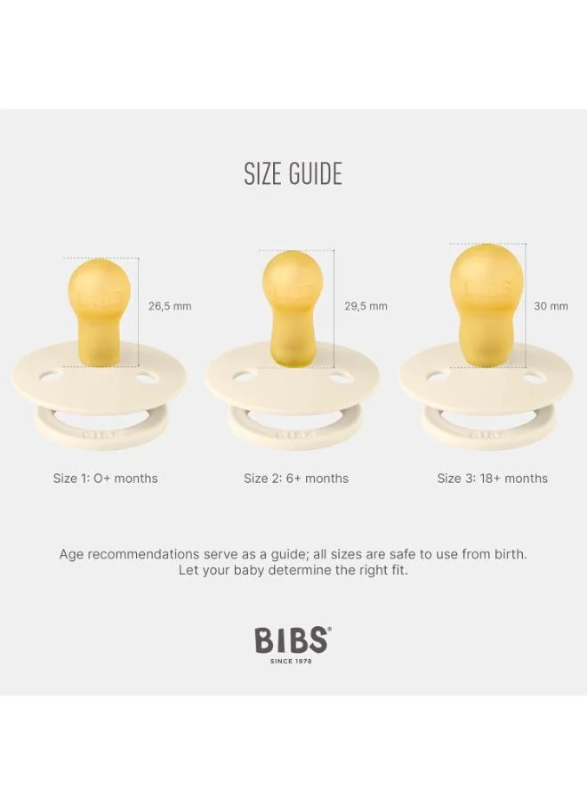 BIBS 2 - Pieces Colour Natural Rubber Pacifier For 0 - 6 Months Babies Size 1, Haze/Blossom